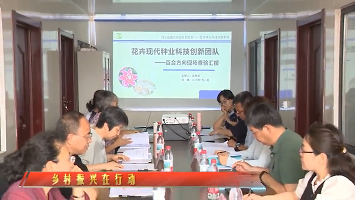 乡村振兴在行动——河北省花卉现代种业科技创新团队（百合方向）现场查验会议在石家庄...