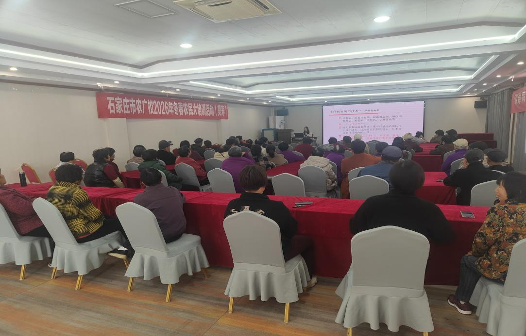 石家庄市农广校扎实开展冬春农民大培训 多场次精准送技下乡 助力农业丰产增收