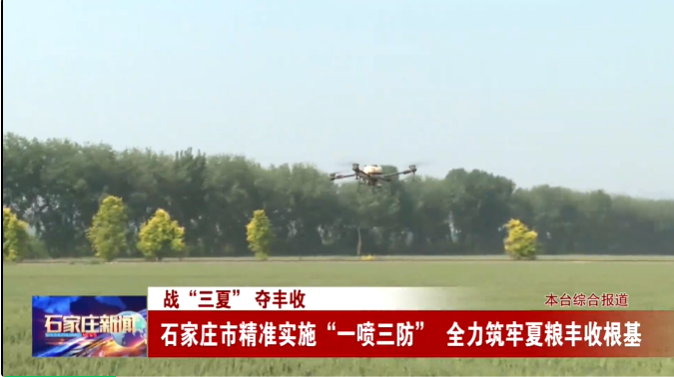 战“三夏” 夺丰收——石家庄市精准实施“一喷三防” 全力筑牢夏粮丰收根基