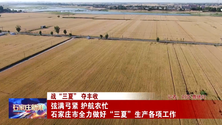 战“三夏” 夺丰收丨弦满弓紧 护航农忙 石家庄市全力做好“三夏”生产各项工作