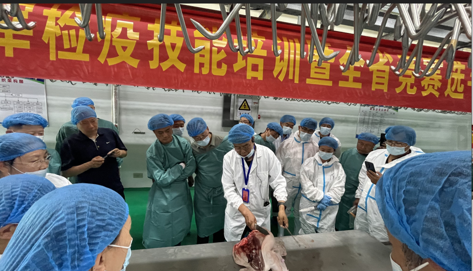 石家庄市农业综合行政执法支队 组织开展全市生猪屠宰检疫技能培训暨全省生猪屠宰检疫...