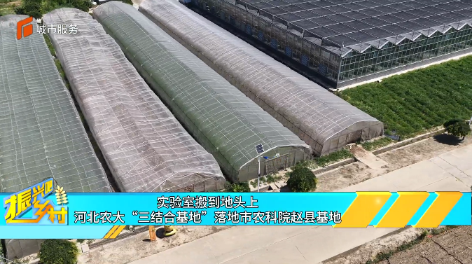 实验室搬到地头上—河北农大“三结合基地”落地市农科院赵县基地