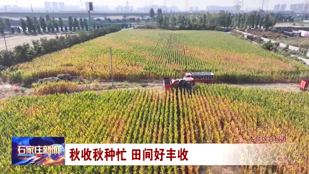 秋收秋种忙 田间好丰收——石家庄市全力打好三秋生产攻坚战 全力稳住粮食生产底盘