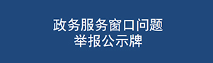 政务服务窗...